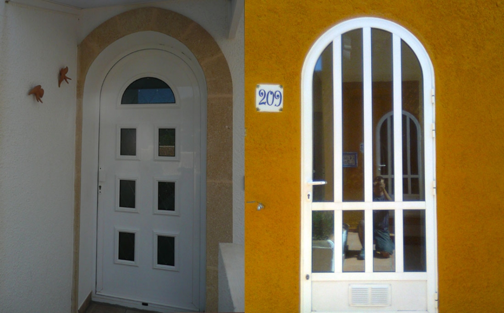Arched front door with glass inserts